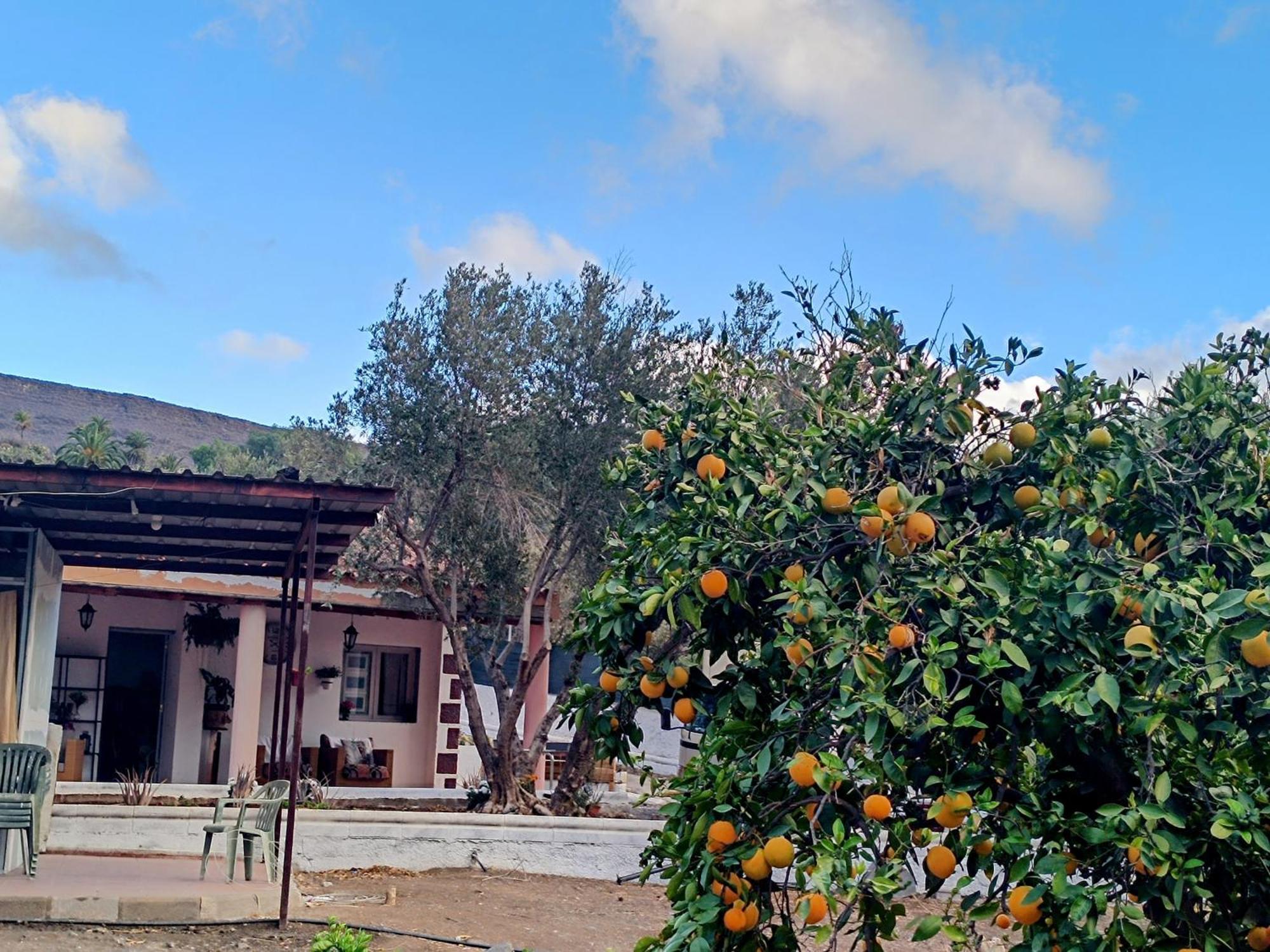 La Casa De La Pradera Bed & Breakfast Santa Lucia Exterior foto